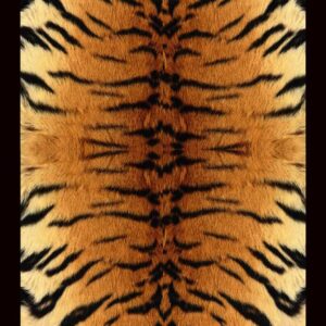Safari Tiger Scarf